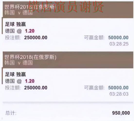 精选世界杯投注平台：从稳定性评测到使用全流程解析 - 世界杯赛事中心